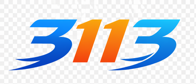 3113